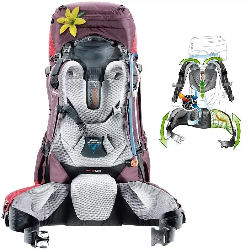 Sac à Dos Deuter Aircontact 60+10 SL Aubergine Cranberry 2 Sac à Dos Deuter Aircontact 60+10 SL Aubergine Cranberry – Image 2