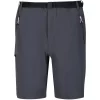 Textile Short Regatta Xert Stretch Shorts III Gris