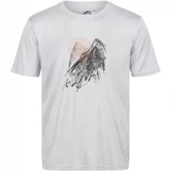 Textile T-shirt Regatta Fingal VI Gris