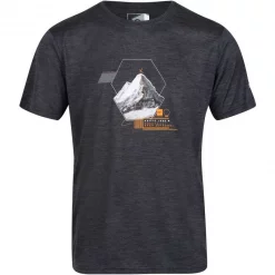 Textile T-shirt Regatta Fingal VI Noir